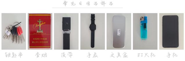 希淳XIC9100智能安檢門(圖1)
